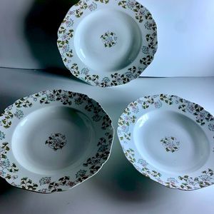Haviland Limoges Plates Collection (3)
